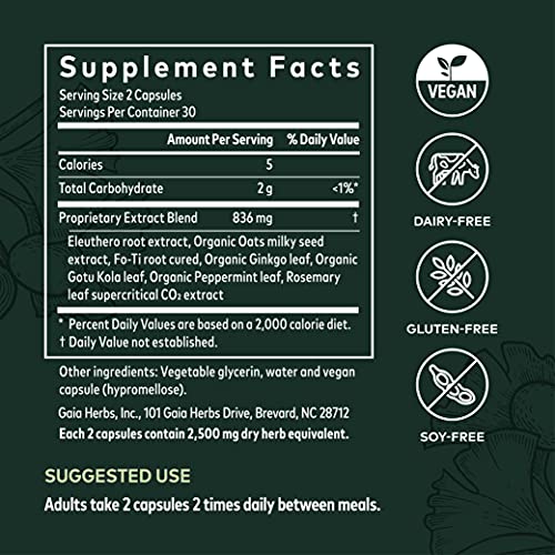 Gaia Herbs Mental Alertness - Brain Support Supplement To Help Maintain Focus & Memory* - With Eleuthero, Ginkgo Leaf, Gotu Kola, Rosemary & Oats - 60 Vegan Liquid Phyto-Capsules (15-Day Supply) #TOP4