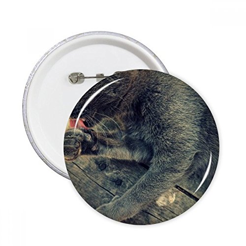 Badge chat gris rond pin's motif animal pour décoration de vêtement multicolore