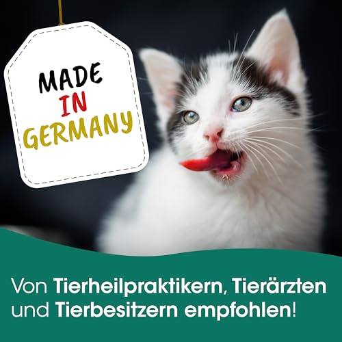 cdVet Naturprodukte FischSnack Beutel 250 g - Hund, Katze - Einzelfuttermittel - Belohnung - wertvolle Omega Fettsäuren - natürlich - luftgetrocknet - ohne Farbstoffe + Konservierungsstoffe -