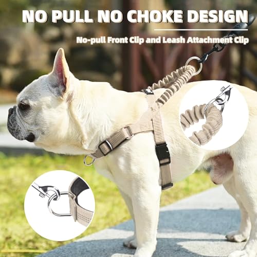 Image of PUPTECK No Pull Dog Harness Small Sized Dog, Adjustable Reflective Pet Vest Harness with Bungee Handle, Escape Proof No Choke Harness for Small Dogs Walking Training, Beige S