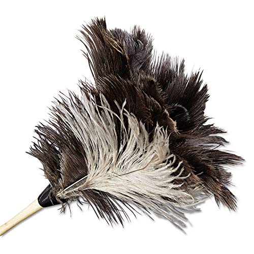Image of Boardwalk Professional Ostrich Feather Duster, 7 inch Handle