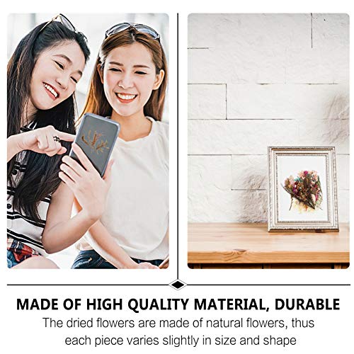 HEALLILY 4 Unidades de Flores Secas Naturais Flores Secas Diy Flores Secas Naturais para Presente de