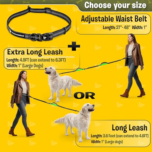 Laisse rétractable mains libres pour grands chiens et excursion de canicross