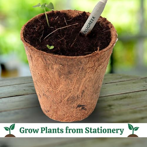 Image of Bombay Greens -50 Plantable Seed Pencils - Bio degradable Eco-Friendly Stationery for Corporate Gifting | Sustainable Gifts with Seeds - Pack of 50