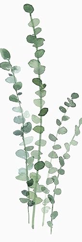 Posterazzi PDXEZ553ALARGE - Póster de eucalipto fresco Isabelle Z multicolor