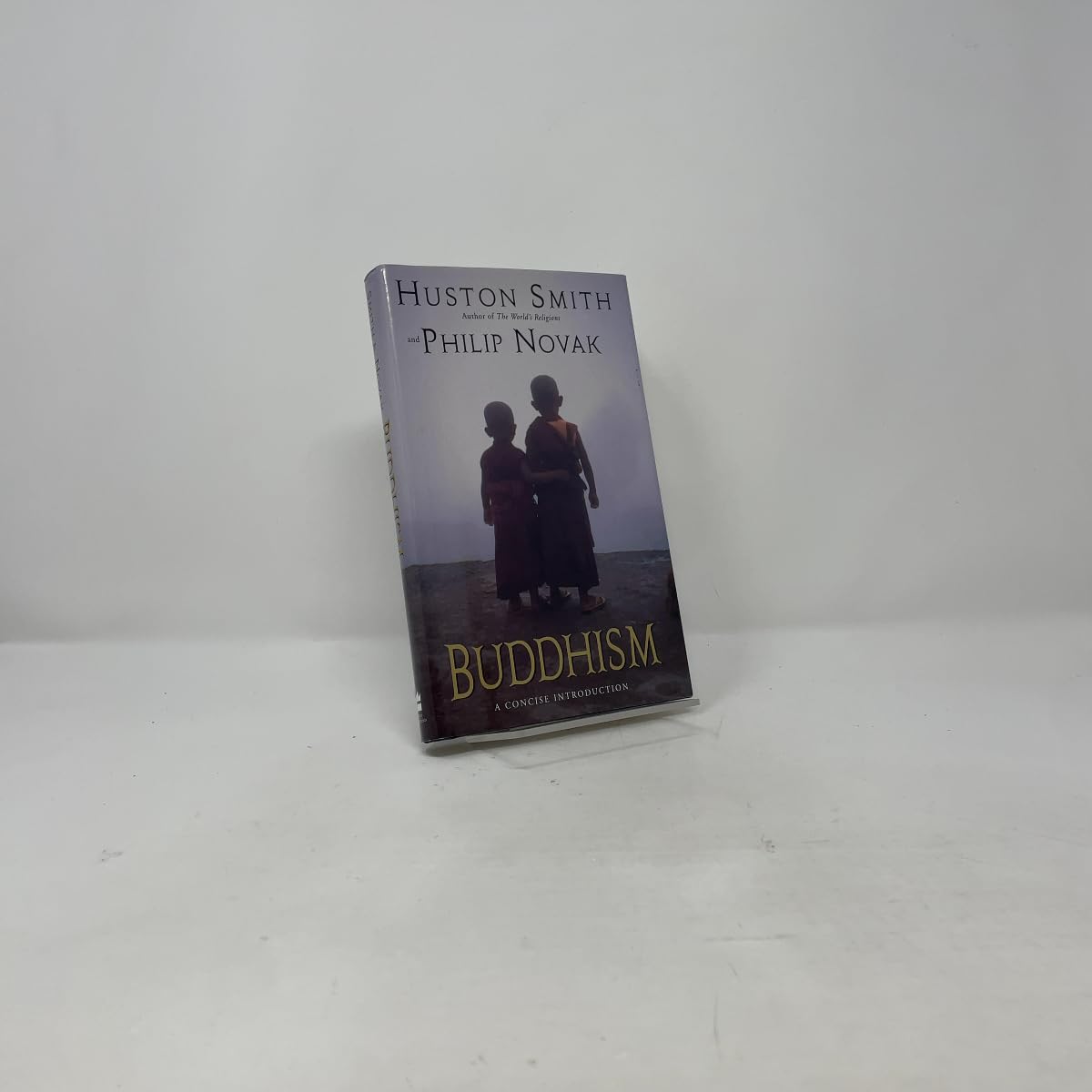 Buddhism: A Concise Introduction