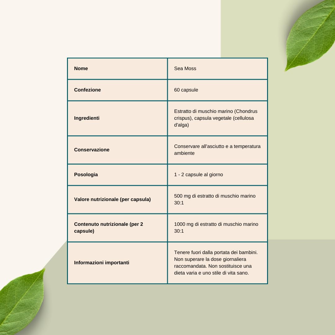 Muschio Marino 500 mg * 60 Capsule - Capsule di Muschio Marino (Chondrus crispus) Altamente Concentrate: 500 mg per Capsula - 92 Minerali Essenziali per Supportare la Tua Salute Generale