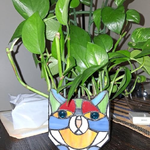 Episode 7 - Johnny's Broom Closet with Co-Host Jess