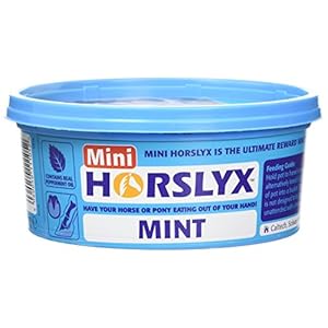 Horslyx Minis Horse Licks 650 g