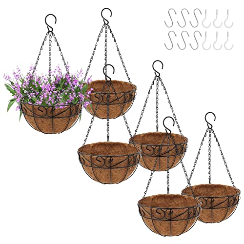 Top 10 Hanging Plants For Porch of 2022 Katynel