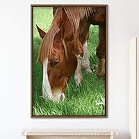 Framed Canvas Wall Art Horse Animals Dramatic Farmhouse/Country Horse Living Room Multicolor Photography - 16x24 inches