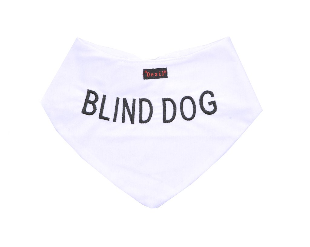 Pañuelo de perro blanco con mensaje bordado personalizado de calidad, pañuelo para el cuello, accesorio de moda, evita accidentes al advertir a otros de tu perro de antemano