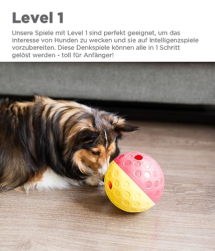 Outward Hound Nina Ottosson Hundespielzeug Intelligenz - Stufe 1 Anfänger - Leckerli-Spender, Beschäftigung & Intelligenzspielzeug für Hunde & Welpen, bei Langeweile & mentaler Stimulation