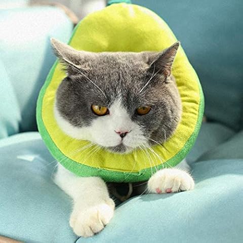 LAPONO Adjustable Cat Recovery Collar,Cat Recovery Collar,Soft Pet Cone Collar Protective Cat Cone Cotton Adjustable Fasteners Collar for Cats and Puppy,Wound Healing Recovery for Small Pets Cover