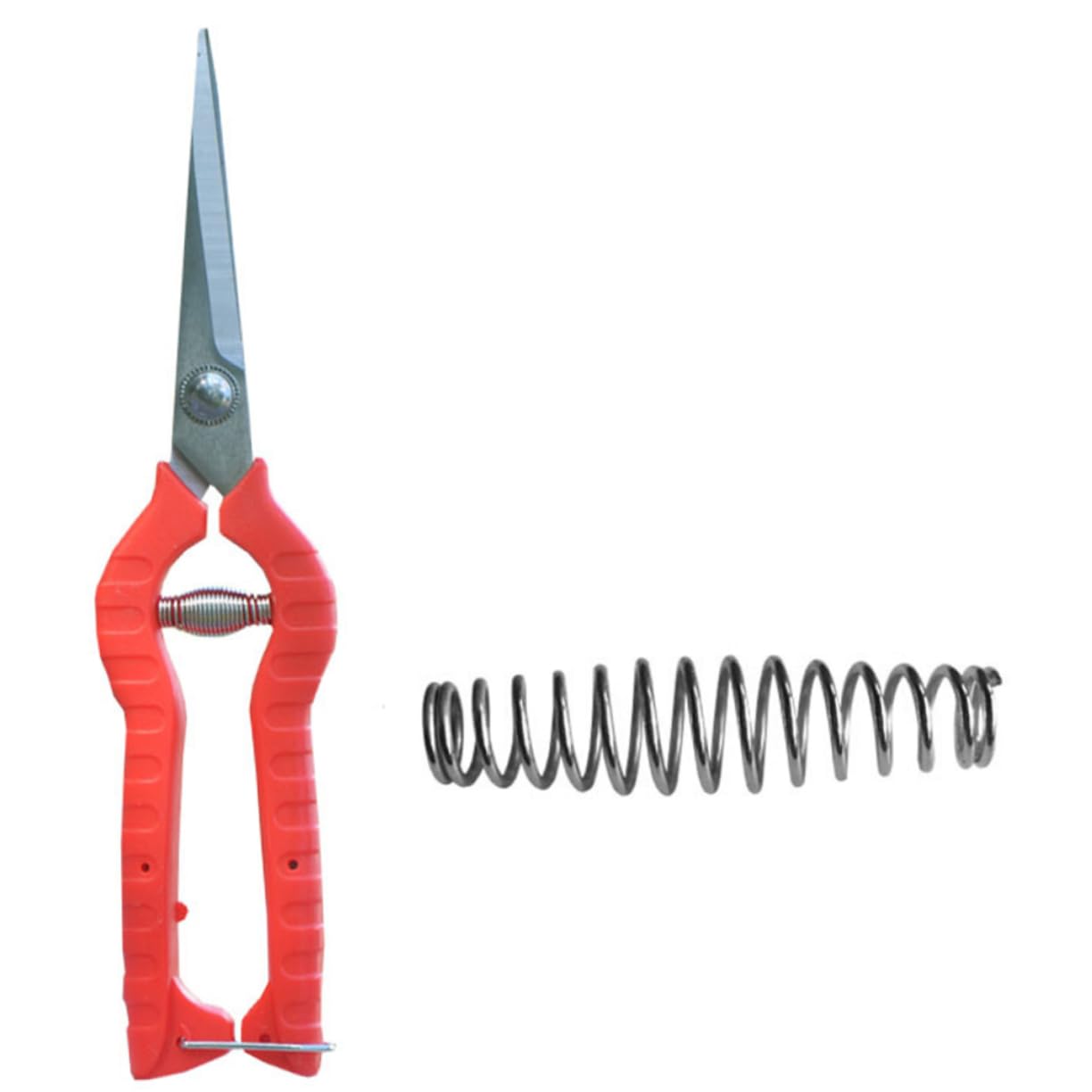 Toddmomy 5 Set Ricambio per Inossidabile Parti Sostituzione per Potatura Compatibili Potatura 6 Pezzi * 5
