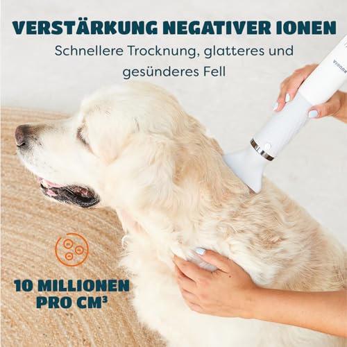 KUUBIA 5-in-1 Hundeföhn 900W | Blower Hundefön | Föhn und Bürste in einem | Tierföhn für Hund & Katze | Hundetrockner | Leise, NTC, Negative Ionen, Tragbar | für alle Rassen und Felltypen - Dryer