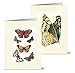Note Card Cafe All Occasions Greeting Card with Envelopes | 36 Pack | Blank Inside, Glossy Finish | 12 Various Vintage Butterflies Designs | Assorted Set for Greeting Cards, Corporate, Friends