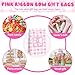 12 Pcs 4 Styles Pink Ribbon Bow Gift Bags, Plaid Kraft Paper Bag with 20 Stickers, Coquette-Style Birthday Party Favor Bags, Cute Pink Goodie Candy Treats Bags Bulk for Baby Shower, Wedding, Gifts