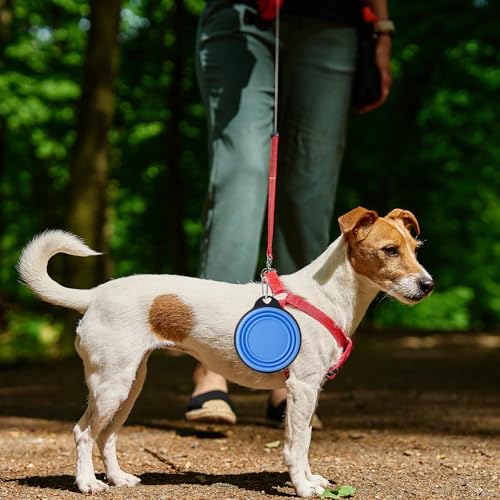 SLSON Hundenäpfe Faltbar,2 Stück Integrierter geformter verstärkter Rand, Tragbare Fressnapf für Hunde,Wasserschüssel Für Hunde,Für Camping Reisen Park Ausflüge Tägliche Spaziergänge