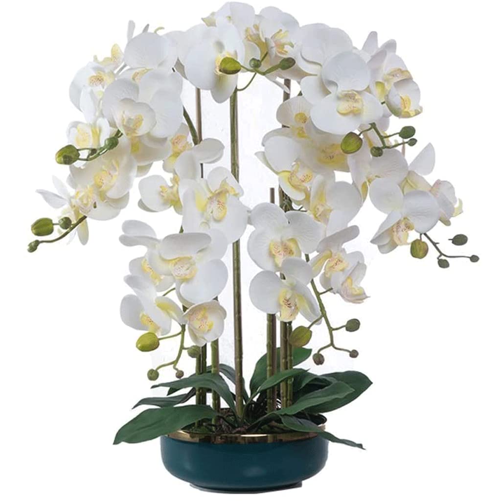 XDLEDMKIZ Orchid Artificial Flowers Artificial Phalaenopsis Flowers Plant Living Room Arrangement Artificial Flowers for Home Interior Decoration Faux Orchids natural loo