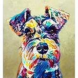 5D Colorful Schnauzer Dog Full Diamond Painting Cross Stitch Kits Art Animal 3D Paint by...