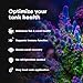 Brightwell Aquatics Vitamarin-M – Complete Vitamin Supplement for Marine Fish, Corals & Invertebrates – Supports Growth, Color & Immune Health – No Refrigeration, 500 ml