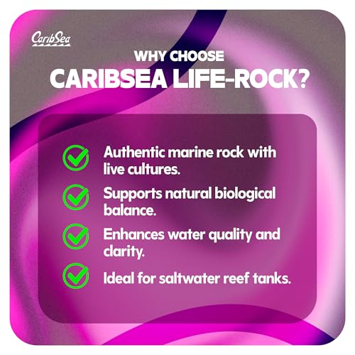 Image of CaribSea LifeRock Base Rock - 40 lbs - Natural Aragonite Rock for Custom Aquascaping, Supports Marine & Reef Environments, Enhances Tank Stability