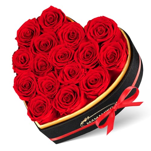 16 Preserved Roses in Heart Shape Gift Box for Her – Forever Flowers for Delivery, Eternal Rose Mothers Gifts for Mom, Wife Anniversary Birthday Gifts for Women, Red