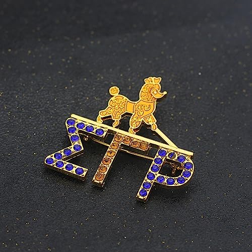 Image of Rhinestone SGRho Sorority Brooch Pin for Women Sigmaa Gamma Rho Gift Greek Sorority Jewelry Paraphernalia Gift for Soror