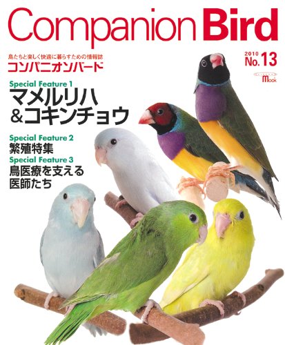 マダムインコ　シュガロン　一番星カラー 51ycAfugusL.jpg