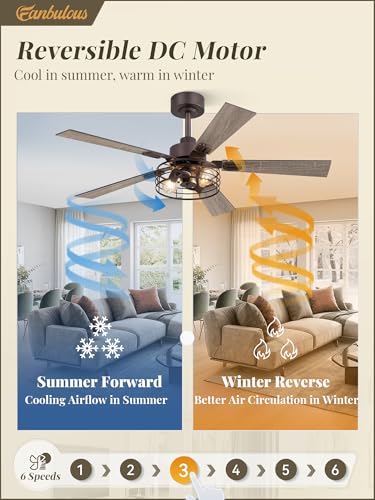Image of Fanbulous 48 Inch Farmhouse Rustic Ceiling Fan with Light & Remote