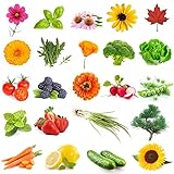 Seeds Christmas Advent Calendar 2024 for Women Adult, Hanging Decor Xmas Countdown Calendar for Garden Alike,Unique Christmas Countdown for Dad Mom Kids Family - Image 4