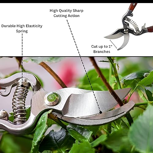 Juego de Tijeras para Jardín ATE Pro. USA 8" 2 Piezas miniatura 3
