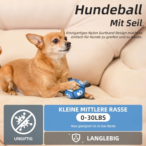 HETOO Hundeball Hundespielzeug Ball mit Griff für Hund Interaktives Schleppen von Krieg Wasser Hundebälle Spielzeug Geburtstagsgeschenk für Klein/Mittel Hunde (5 Zoll Blau Grau)