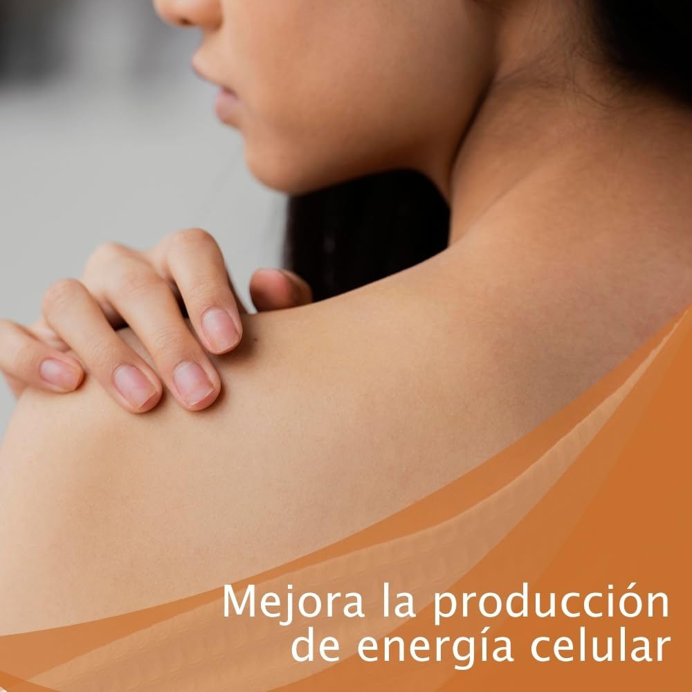 MICOTHERAPHY Cordyceps Sinensis 90 Cápsulas Mejora la Vitalidad, Aumenta la Energía, Mejora el Estrés Físico y Mental, Reduce la Inflamación, Mantiene los Niveles Hormonales en Equilibrio