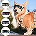 Sonnenbrille für Kleine Hunde, Augenschutz Brille Windschutzbrille,UV-Schutz Hunde Sonnenbrillen,Beschlagfrei,Hundebrille für Haustiere, für Motorrad Hundefahrradkorb Cabrio (Blau)