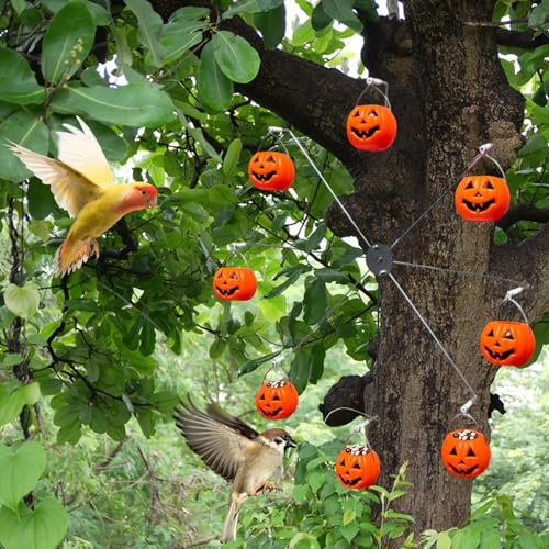 Mangeoire à oiseaux extérieure citrouille, cadeau idéal pour amateurs - 3