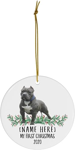 Miniatura 2 de Nombre personalizado con nombre personalizado, año American Bully azul, gris, decoraciones de Año Nuevo 2024, regalos para el primer 2023, adornos