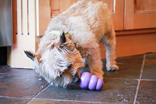 KONG Senior KONG Dog Toy, Medium, Purple