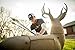 Field Logic GlenDel Crossbow Buck 3D Archery Target with Replaceable Core
