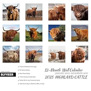 2025 Wall Calendar,Calendar 2025,Highland Cattle Monthly Wall Calendar, 12" x 24" Open,Family Planner Calendar, Home & Office Organizer,Hangable 2025 Wall CalendarCalendar 2025Highland Cattle Monthly Wall Calendar 12 x 24 OpenFamily Planner Calendar Home Office OrganizerHangable