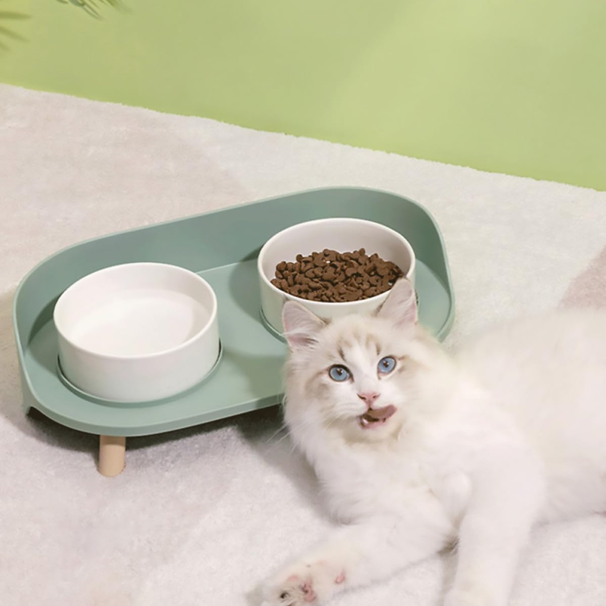 iplusmile Gamelle Double pour Chat en Céramique et Plastique, 1pc, Vert, Imperméable à L’Eau, Protège Cervicales, Bol pour Animaux à Pieds Hauts