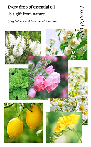Aceite Esencial para Difusor de Menta 10ML miniatura 6