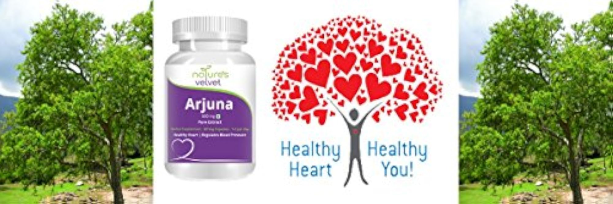 Arjuna Pure Extract 500mg Veggie Capsules, Pack of 2