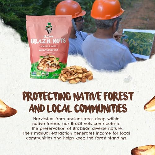 Image of Forest Up - Snack The True Organic Brazil Nuts 7oz - Roasted & Himalayan Salt - Kosher - Healthy-Rich in Vegetable Protein - From Amazon Rainforest - Fresh, Vegan, Gluten-Free and Oil Free