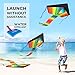 2-Pack Kites for Kids Ages 8-12, Beginner's Kites for Kids Ages 4-8 Easy to Fly & Heavy Duty Kites for Adults Easy to Fly, Experience Fun Kite in Low Wind Speed Perfect Beach Toys for Kids 3-10