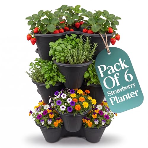 Image of Klass Home Collection Stackable Strawberry Planter Tower Pack of 6, Vertical Garden Planters outdoor & Indoor for Balcony, Patio, Plant Pots for Flowers, Vegetables Herb Garden Planter (Black)