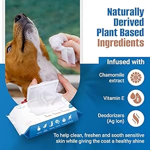 Doggroomingwipes200count2packsunscentedcatwipescleaningfurplantbasedpetwipesfordogslargethickdogpawwipesfastbathdogwetwipesforpawsbuttfaceandbody  Urban Country Home Decor Dog grooming wipes 200count2packs unscented cat wipes cleaning fur plant based pet wipes for dogs large thick dog paw wipes fast bath dog wet wipes for paws butt face and body  urban country home decor