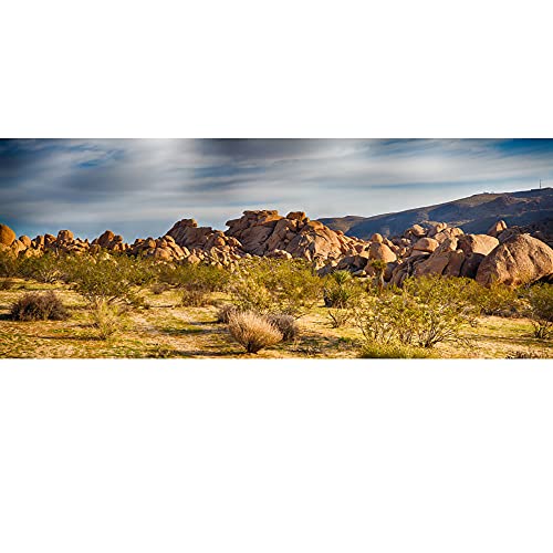 Toile de fond vinyle sans reflet pour grand studio photo paysage Gobi
