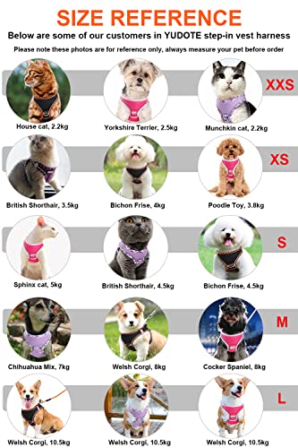 YUDOTE Step-in Reflective Harness Easy-on Easy-off 2-Layer Soft Mesh Vest with ID Tag Holder for Medium Dogs Daily Use,Hot Pink - Image 4